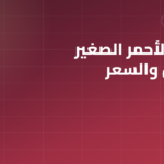 الطوب الأحمر الصغير: المقاس والسعر والاستخدام ومناسبته لمشروعك